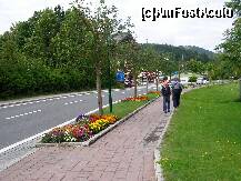 P12 [JUL-2010] Asa arata drumul principal din localitate, flori,iarba si curatenie