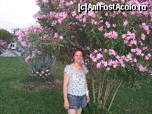 [P02] Ce parc frumos » foto by tataee
 - 
<span class="allrVoted glyphicon glyphicon-heart hidden" id="av345051"></span>
<a class="m-l-10 hidden" id="sv345051" onclick="voting_Foto_DelVot(,345051,20)" role="button">șterge vot <span class="glyphicon glyphicon-remove"></span></a>
<a id="v9345051" class=" c-red"  onclick="voting_Foto_SetVot(345051)" role="button"><span class="glyphicon glyphicon-heart-empty"></span> <b>LIKE</b> = Votează poza</a> <img class="hidden"  id="f345051W9" src="/imagini/loader.gif" border="0" /><span class="AjErrMes hidden" id="e345051ErM"></span>