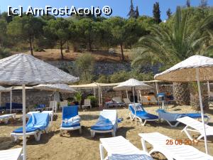 [P20]  -- <small>// FĂRĂ DESCRIERE</small> » foto by nrs †
 - 
<span class="allrVoted glyphicon glyphicon-heart hidden" id="av904265"></span>
<a class="m-l-10 hidden" id="sv904265" onclick="voting_Foto_DelVot(,904265,224)" role="button">șterge vot <span class="glyphicon glyphicon-remove"></span></a>
<a id="v9904265" class=" c-red"  onclick="voting_Foto_SetVot(904265)" role="button"><span class="glyphicon glyphicon-heart-empty"></span> <b>LIKE</b> = Votează poza</a> <img class="hidden"  id="f904265W9" src="/imagini/loader.gif" border="0" /><span class="AjErrMes hidden" id="e904265ErM"></span>