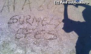 [P20] Cu mult drag pentru AFA de la Surmely;)  » foto by bullet123
 - 
<span class="allrVoted glyphicon glyphicon-heart hidden" id="av631242"></span>
<a class="m-l-10 hidden" id="sv631242" onclick="voting_Foto_DelVot(,631242,226)" role="button">șterge vot <span class="glyphicon glyphicon-remove"></span></a>
<a id="v9631242" class=" c-red"  onclick="voting_Foto_SetVot(631242)" role="button"><span class="glyphicon glyphicon-heart-empty"></span> <b>LIKE</b> = Votează poza</a> <img class="hidden"  id="f631242W9" src="/imagini/loader.gif" border="0" /><span class="AjErrMes hidden" id="e631242ErM"></span>