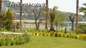 [P12] aleea spre plaja » foto by constantin33
 - 
<span class="allrVoted glyphicon glyphicon-heart hidden" id="av788296"></span>
<a class="m-l-10 hidden" id="sv788296" onclick="voting_Foto_DelVot(,788296,226)" role="button">șterge vot <span class="glyphicon glyphicon-remove"></span></a>
<a id="v9788296" class=" c-red"  onclick="voting_Foto_SetVot(788296)" role="button"><span class="glyphicon glyphicon-heart-empty"></span> <b>LIKE</b> = Votează poza</a> <img class="hidden"  id="f788296W9" src="/imagini/loader.gif" border="0" /><span class="AjErrMes hidden" id="e788296ErM"></span>