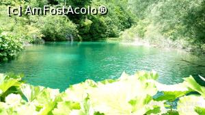 [P45] Parcul National Lacurile Plitvice.  » foto by Aurici
 - 
<span class="allrVoted glyphicon glyphicon-heart hidden" id="av1026558"></span>
<a class="m-l-10 hidden" id="sv1026558" onclick="voting_Foto_DelVot(,1026558,412)" role="button">șterge vot <span class="glyphicon glyphicon-remove"></span></a>
<a id="v91026558" class=" c-red"  onclick="voting_Foto_SetVot(1026558)" role="button"><span class="glyphicon glyphicon-heart-empty"></span> <b>LIKE</b> = Votează poza</a> <img class="hidden"  id="f1026558W9" src="/imagini/loader.gif" border="0" /><span class="AjErrMes hidden" id="e1026558ErM"></span>