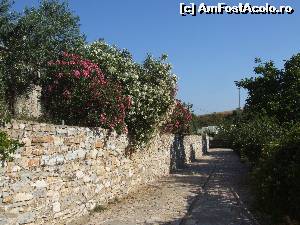 [P11] Iesirea de la Arsinoi Stonehouses, in capat la stanga se urca destul de abrupt pentru iesirea in sosea.  » foto by Mukallita
 - 
<span class="allrVoted glyphicon glyphicon-heart hidden" id="av526439"></span>
<a class="m-l-10 hidden" id="sv526439" onclick="voting_Foto_DelVot(,526439,460)" role="button">șterge vot <span class="glyphicon glyphicon-remove"></span></a>
<a id="v9526439" class=" c-red"  onclick="voting_Foto_SetVot(526439)" role="button"><span class="glyphicon glyphicon-heart-empty"></span> <b>LIKE</b> = Votează poza</a> <img class="hidden"  id="f526439W9" src="/imagini/loader.gif" border="0" /><span class="AjErrMes hidden" id="e526439ErM"></span>