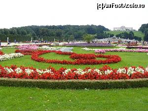 [P43] Parcul Schönbrunn » foto by stellinna
 - 
<span class="allrVoted glyphicon glyphicon-heart hidden" id="av678123"></span>
<a class="m-l-10 hidden" id="sv678123" onclick="voting_Foto_DelVot(,678123,461)" role="button">șterge vot <span class="glyphicon glyphicon-remove"></span></a>
<a id="v9678123" class=" c-red"  onclick="voting_Foto_SetVot(678123)" role="button"><span class="glyphicon glyphicon-heart-empty"></span> <b>LIKE</b> = Votează poza</a> <img class="hidden"  id="f678123W9" src="/imagini/loader.gif" border="0" /><span class="AjErrMes hidden" id="e678123ErM"></span>