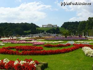 [P44] Parcul Schönbrunn - Gloriette » foto by stellinna
 - 
<span class="allrVoted glyphicon glyphicon-heart hidden" id="av678124"></span>
<a class="m-l-10 hidden" id="sv678124" onclick="voting_Foto_DelVot(,678124,461)" role="button">șterge vot <span class="glyphicon glyphicon-remove"></span></a>
<a id="v9678124" class=" c-red"  onclick="voting_Foto_SetVot(678124)" role="button"><span class="glyphicon glyphicon-heart-empty"></span> <b>LIKE</b> = Votează poza</a> <img class="hidden"  id="f678124W9" src="/imagini/loader.gif" border="0" /><span class="AjErrMes hidden" id="e678124ErM"></span>