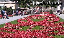 [P02] Aranjament floral lA gradinile Mirabel. Salzburg,Austria. » foto by traian.leuca †
 - 
<span class="allrVoted glyphicon glyphicon-heart hidden" id="av398671"></span>
<a class="m-l-10 hidden" id="sv398671" onclick="voting_Foto_DelVot(,398671,464)" role="button">șterge vot <span class="glyphicon glyphicon-remove"></span></a>
<a id="v9398671" class=" c-red"  onclick="voting_Foto_SetVot(398671)" role="button"><span class="glyphicon glyphicon-heart-empty"></span> <b>LIKE</b> = Votează poza</a> <img class="hidden"  id="f398671W9" src="/imagini/loader.gif" border="0" /><span class="AjErrMes hidden" id="e398671ErM"></span>