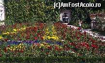 [P03] Aranjament floral Gradinile Mirabel. Salzburg,Austria. » foto by traian.leuca †
 - 
<span class="allrVoted glyphicon glyphicon-heart hidden" id="av398672"></span>
<a class="m-l-10 hidden" id="sv398672" onclick="voting_Foto_DelVot(,398672,464)" role="button">șterge vot <span class="glyphicon glyphicon-remove"></span></a>
<a id="v9398672" class=" c-red"  onclick="voting_Foto_SetVot(398672)" role="button"><span class="glyphicon glyphicon-heart-empty"></span> <b>LIKE</b> = Votează poza</a> <img class="hidden"  id="f398672W9" src="/imagini/loader.gif" border="0" /><span class="AjErrMes hidden" id="e398672ErM"></span>