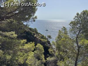 [P18] Pe poteca Cami Ronda » foto by AZE
 - 
<span class="allrVoted glyphicon glyphicon-heart hidden" id="av1545676"></span>
<a class="m-l-10 hidden" id="sv1545676" onclick="voting_Foto_DelVot(,1545676,479)" role="button">șterge vot <span class="glyphicon glyphicon-remove"></span></a>
<a id="v91545676" class=" c-red"  onclick="voting_Foto_SetVot(1545676)" role="button"><span class="glyphicon glyphicon-heart-empty"></span> <b>LIKE</b> = Votează poza</a> <img class="hidden"  id="f1545676W9" src="/imagini/loader.gif" border="0" /><span class="AjErrMes hidden" id="e1545676ErM"></span>