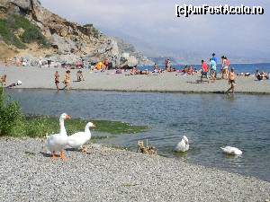 [P06] Preveli Beach - in sfarsit am ajuns. Ne facem prieteni noi si incercam sa nu ne gandim la drumul de intoarcere » foto by MCM
 - 
<span class="allrVoted glyphicon glyphicon-heart hidden" id="av667469"></span>
<a class="m-l-10 hidden" id="sv667469" onclick="voting_Foto_DelVot(,667469,481)" role="button">șterge vot <span class="glyphicon glyphicon-remove"></span></a>
<a id="v9667469" class=" c-red"  onclick="voting_Foto_SetVot(667469)" role="button"><span class="glyphicon glyphicon-heart-empty"></span> <b>LIKE</b> = Votează poza</a> <img class="hidden"  id="f667469W9" src="/imagini/loader.gif" border="0" /><span class="AjErrMes hidden" id="e667469ErM"></span>