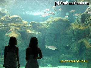P19 [JUL-2009] In nordul insulei, intre Iraklio si Rethymno este si un Aquarium care merita vizitat, desigur contra cost. 
