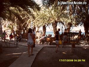 P07 [JUL-2009] Plaja din Vai este in capatul de est al insulei, si are singura padure de palmieri salbatici din Europa (daca numaram Creta in Europa si nu in Afrika) 