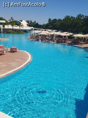 [P01]  -- <small>// FĂRĂ DESCRIERE</small> » foto by ana mari
 - 
<span class="allrVoted glyphicon glyphicon-heart hidden" id="av1499661"></span>
<a class="m-l-10 hidden" id="sv1499661" onclick="voting_Foto_DelVot(,1499661,622)" role="button">șterge vot <span class="glyphicon glyphicon-remove"></span></a>
<a id="v91499661" class=" c-red"  onclick="voting_Foto_SetVot(1499661)" role="button"><span class="glyphicon glyphicon-heart-empty"></span> <b>LIKE</b> = Votează poza</a> <img class="hidden"  id="f1499661W9" src="/imagini/loader.gif" border="0" /><span class="AjErrMes hidden" id="e1499661ErM"></span>