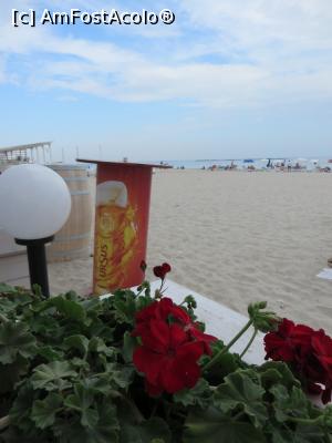 [P15] Plaja în dreptul terasei Paradis Holiday - stațiunea Mamaia.  » foto by tata123 🔱
 - 
<span class="allrVoted glyphicon glyphicon-heart hidden" id="av791444"></span>
<a class="m-l-10 hidden" id="sv791444" onclick="voting_Foto_DelVot(,791444,766)" role="button">șterge vot <span class="glyphicon glyphicon-remove"></span></a>
<a id="v9791444" class=" c-red"  onclick="voting_Foto_SetVot(791444)" role="button"><span class="glyphicon glyphicon-heart-empty"></span> <b>LIKE</b> = Votează poza</a> <img class="hidden"  id="f791444W9" src="/imagini/loader.gif" border="0" /><span class="AjErrMes hidden" id="e791444ErM"></span>