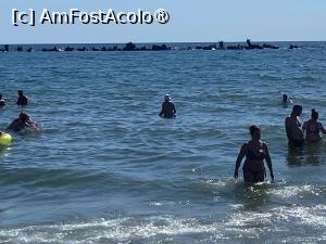 [P42] Hotel Majestic Mamaia - marea » foto by nicole33
 - 
<span class="allrVoted glyphicon glyphicon-heart hidden" id="av1511837"></span>
<a class="m-l-10 hidden" id="sv1511837" onclick="voting_Foto_DelVot(,1511837,782)" role="button">șterge vot <span class="glyphicon glyphicon-remove"></span></a>
<a id="v91511837" class=" c-red"  onclick="voting_Foto_SetVot(1511837)" role="button"><span class="glyphicon glyphicon-heart-empty"></span> <b>LIKE</b> = Votează poza</a> <img class="hidden"  id="f1511837W9" src="/imagini/loader.gif" border="0" /><span class="AjErrMes hidden" id="e1511837ErM"></span>