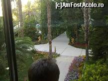 [P11]  -- <small>// FĂRĂ DESCRIERE</small> » foto by gianimary
 - 
<span class="allrVoted glyphicon glyphicon-heart hidden" id="av132869"></span>
<a class="m-l-10 hidden" id="sv132869" onclick="voting_Foto_DelVot(,132869,8)" role="button">șterge vot <span class="glyphicon glyphicon-remove"></span></a>
<a id="v9132869" class=" c-red"  onclick="voting_Foto_SetVot(132869)" role="button"><span class="glyphicon glyphicon-heart-empty"></span> <b>LIKE</b> = Votează poza</a> <img class="hidden"  id="f132869W9" src="/imagini/loader.gif" border="0" /><span class="AjErrMes hidden" id="e132869ErM"></span>