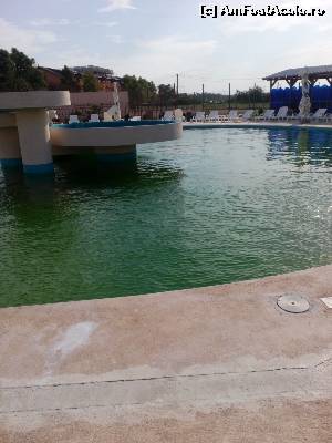 [P01] Piscina plina de alge si mizerie » foto by Dragoș2015*
 - 
<span class="allrVoted glyphicon glyphicon-heart hidden" id="av667674"></span>
<a class="m-l-10 hidden" id="sv667674" onclick="voting_Foto_DelVot(,667674,837)" role="button">șterge vot <span class="glyphicon glyphicon-remove"></span></a>
<a id="v9667674" class=" c-red"  onclick="voting_Foto_SetVot(667674)" role="button"><span class="glyphicon glyphicon-heart-empty"></span> <b>LIKE</b> = Votează poza</a> <img class="hidden"  id="f667674W9" src="/imagini/loader.gif" border="0" /><span class="AjErrMes hidden" id="e667674ErM"></span>