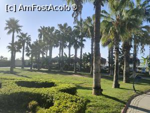 [P03]  -- <small>// FĂRĂ DESCRIERE</small> » foto by sebino
 - 
<span class="allrVoted glyphicon glyphicon-heart hidden" id="av1497203"></span>
<a class="m-l-10 hidden" id="sv1497203" onclick="voting_Foto_DelVot(,1497203,87)" role="button">șterge vot <span class="glyphicon glyphicon-remove"></span></a>
<a id="v91497203" class=" c-red"  onclick="voting_Foto_SetVot(1497203)" role="button"><span class="glyphicon glyphicon-heart-empty"></span> <b>LIKE</b> = Votează poza</a> <img class="hidden"  id="f1497203W9" src="/imagini/loader.gif" border="0" /><span class="AjErrMes hidden" id="e1497203ErM"></span>