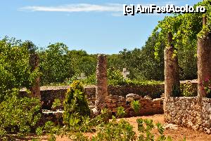 [P16] Cimitirul manastirii » foto by Gabise
 - 
<span class="allrVoted glyphicon glyphicon-heart hidden" id="av532306"></span>
<a class="m-l-10 hidden" id="sv532306" onclick="voting_Foto_DelVot(,532306,872)" role="button">șterge vot <span class="glyphicon glyphicon-remove"></span></a>
<a id="v9532306" class=" c-red"  onclick="voting_Foto_SetVot(532306)" role="button"><span class="glyphicon glyphicon-heart-empty"></span> <b>LIKE</b> = Votează poza</a> <img class="hidden"  id="f532306W9" src="/imagini/loader.gif" border="0" /><span class="AjErrMes hidden" id="e532306ErM"></span>