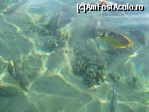 [P39]  -- <small>// FĂRĂ DESCRIERE</small> » foto by CONCEDIU
 - 
<span class="allrVoted glyphicon glyphicon-heart hidden" id="av317647"></span>
<a class="m-l-10 hidden" id="sv317647" onclick="voting_Foto_DelVot(,317647,938)" role="button">șterge vot <span class="glyphicon glyphicon-remove"></span></a>
<a id="v9317647" class=" c-red"  onclick="voting_Foto_SetVot(317647)" role="button"><span class="glyphicon glyphicon-heart-empty"></span> <b>LIKE</b> = Votează poza</a> <img class="hidden"  id="f317647W9" src="/imagini/loader.gif" border="0" /><span class="AjErrMes hidden" id="e317647ErM"></span>