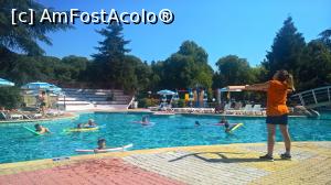 [P11] Gimnastică în apă » foto by AZE
 - 
<span class="allrVoted glyphicon glyphicon-heart hidden" id="av984940"></span>
<a class="m-l-10 hidden" id="sv984940" onclick="voting_Foto_DelVot(,984940,979)" role="button">șterge vot <span class="glyphicon glyphicon-remove"></span></a>
<a id="v9984940" class=" c-red"  onclick="voting_Foto_SetVot(984940)" role="button"><span class="glyphicon glyphicon-heart-empty"></span> <b>LIKE</b> = Votează poza</a> <img class="hidden"  id="f984940W9" src="/imagini/loader.gif" border="0" /><span class="AjErrMes hidden" id="e984940ErM"></span>