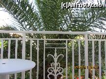 [P06] balconul cu imensul palmier din fata lui. » foto by pitic25
 - 
<span class="allrVoted glyphicon glyphicon-heart hidden" id="av219724"></span>
<a class="m-l-10 hidden" id="sv219724" onclick="voting_Foto_DelVot(,219724,1097)" role="button">șterge vot <span class="glyphicon glyphicon-remove"></span></a>
<a id="v9219724" class=" c-red"  onclick="voting_Foto_SetVot(219724)" role="button"><span class="glyphicon glyphicon-heart-empty"></span> <b>LIKE</b> = Votează poza</a> <img class="hidden"  id="f219724W9" src="/imagini/loader.gif" border="0" /><span class="AjErrMes hidden" id="e219724ErM"></span>