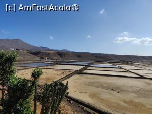[P56] Salinas de Janubio » foto by crismis
 - 
<span class="allrVoted glyphicon glyphicon-heart hidden" id="av1484686"></span>
<a class="m-l-10 hidden" id="sv1484686" onclick="voting_Foto_DelVot(,1484686,1154)" role="button">șterge vot <span class="glyphicon glyphicon-remove"></span></a>
<a id="v91484686" class=" c-red"  onclick="voting_Foto_SetVot(1484686)" role="button"><span class="glyphicon glyphicon-heart-empty"></span> <b>LIKE</b> = Votează poza</a> <img class="hidden"  id="f1484686W9" src="/imagini/loader.gif" border="0" /><span class="AjErrMes hidden" id="e1484686ErM"></span>
