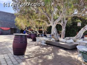 [P24] Bodega Stratvs; zona de degustare » foto by crismis
 - 
<span class="allrVoted glyphicon glyphicon-heart hidden" id="av1484791"></span>
<a class="m-l-10 hidden" id="sv1484791" onclick="voting_Foto_DelVot(,1484791,1154)" role="button">șterge vot <span class="glyphicon glyphicon-remove"></span></a>
<a id="v91484791" class=" c-red"  onclick="voting_Foto_SetVot(1484791)" role="button"><span class="glyphicon glyphicon-heart-empty"></span> <b>LIKE</b> = Votează poza</a> <img class="hidden"  id="f1484791W9" src="/imagini/loader.gif" border="0" /><span class="AjErrMes hidden" id="e1484791ErM"></span>