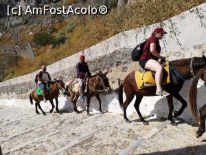 [P57] E greu sa traiesti in Santorini...  » foto by DOINITA
 - 
<span class="allrVoted glyphicon glyphicon-heart hidden" id="av1135407"></span>
<a class="m-l-10 hidden" id="sv1135407" onclick="voting_Foto_DelVot(,1135407,1177)" role="button">șterge vot <span class="glyphicon glyphicon-remove"></span></a>
<a id="v91135407" class=" c-red"  onclick="voting_Foto_SetVot(1135407)" role="button"><span class="glyphicon glyphicon-heart-empty"></span> <b>LIKE</b> = Votează poza</a> <img class="hidden"  id="f1135407W9" src="/imagini/loader.gif" border="0" /><span class="AjErrMes hidden" id="e1135407ErM"></span>