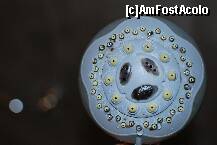 [P01]  -- <small>// FĂRĂ DESCRIERE</small> » foto by oscar
 - 
<span class="allrVoted glyphicon glyphicon-heart hidden" id="av224263"></span>
<a class="m-l-10 hidden" id="sv224263" onclick="voting_Foto_DelVot(,224263,1198)" role="button">șterge vot <span class="glyphicon glyphicon-remove"></span></a>
<a id="v9224263" class=" c-red"  onclick="voting_Foto_SetVot(224263)" role="button"><span class="glyphicon glyphicon-heart-empty"></span> <b>LIKE</b> = Votează poza</a> <img class="hidden"  id="f224263W9" src="/imagini/loader.gif" border="0" /><span class="AjErrMes hidden" id="e224263ErM"></span>