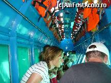 [P04] Yellow Submarine, in interior, sub apa. Nerecomandat cardiacilor.  » foto by lidiacojea
 - 
<span class="allrVoted glyphicon glyphicon-heart hidden" id="av419224"></span>
<a class="m-l-10 hidden" id="sv419224" onclick="voting_Foto_DelVot(,419224,1198)" role="button">șterge vot <span class="glyphicon glyphicon-remove"></span></a>
<a id="v9419224" class=" c-red"  onclick="voting_Foto_SetVot(419224)" role="button"><span class="glyphicon glyphicon-heart-empty"></span> <b>LIKE</b> = Votează poza</a> <img class="hidden"  id="f419224W9" src="/imagini/loader.gif" border="0" /><span class="AjErrMes hidden" id="e419224ErM"></span>