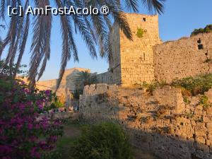 [P43] Rodos Town » foto by ioana74
 - 
<span class="allrVoted glyphicon glyphicon-heart hidden" id="av1541068"></span>
<a class="m-l-10 hidden" id="sv1541068" onclick="voting_Foto_DelVot(,1541068,1227)" role="button">șterge vot <span class="glyphicon glyphicon-remove"></span></a>
<a id="v91541068" class=" c-red"  onclick="voting_Foto_SetVot(1541068)" role="button"><span class="glyphicon glyphicon-heart-empty"></span> <b>LIKE</b> = Votează poza</a> <img class="hidden"  id="f1541068W9" src="/imagini/loader.gif" border="0" /><span class="AjErrMes hidden" id="e1541068ErM"></span>