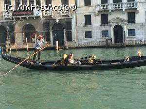 [P06] Sa nu te emoționezi?  » foto by dobrescuflori
 - 
<span class="allrVoted glyphicon glyphicon-heart hidden" id="av938756"></span>
<a class="m-l-10 hidden" id="sv938756" onclick="voting_Foto_DelVot(,938756,1229)" role="button">șterge vot <span class="glyphicon glyphicon-remove"></span></a>
<a id="v9938756" class=" c-red"  onclick="voting_Foto_SetVot(938756)" role="button"><span class="glyphicon glyphicon-heart-empty"></span> <b>LIKE</b> = Votează poza</a> <img class="hidden"  id="f938756W9" src="/imagini/loader.gif" border="0" /><span class="AjErrMes hidden" id="e938756ErM"></span>