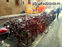 [P03] Firenze: Parcare de biciclete. Masinile sunt in cvasi-totalitate de tip combi sau hatch-back relativ noi si curate. Bicicletele sunt insa vechi, cu vopseaua sarita, jante ruginite, etc.  » foto by Visan125
 - 
<span class="allrVoted glyphicon glyphicon-heart hidden" id="av410276"></span>
<a class="m-l-10 hidden" id="sv410276" onclick="voting_Foto_DelVot(,410276,1230)" role="button">șterge vot <span class="glyphicon glyphicon-remove"></span></a>
<a id="v9410276" class=" c-red"  onclick="voting_Foto_SetVot(410276)" role="button"><span class="glyphicon glyphicon-heart-empty"></span> <b>LIKE</b> = Votează poza</a> <img class="hidden"  id="f410276W9" src="/imagini/loader.gif" border="0" /><span class="AjErrMes hidden" id="e410276ErM"></span>