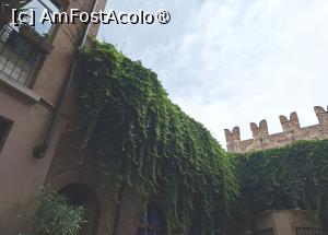 [P77] Casa Julietei - zidul casei învecinate » foto by Carmen Ion
 - 
<span class="allrVoted glyphicon glyphicon-heart hidden" id="av1547982"></span>
<a class="m-l-10 hidden" id="sv1547982" onclick="voting_Foto_DelVot(,1547982,1233)" role="button">șterge vot <span class="glyphicon glyphicon-remove"></span></a>
<a id="v91547982" class=" c-red"  onclick="voting_Foto_SetVot(1547982)" role="button"><span class="glyphicon glyphicon-heart-empty"></span> <b>LIKE</b> = Votează poza</a> <img class="hidden"  id="f1547982W9" src="/imagini/loader.gif" border="0" /><span class="AjErrMes hidden" id="e1547982ErM"></span>