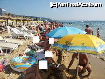 [P05]  -- <small>// FĂRĂ DESCRIERE</small> » foto by otilica
 - 
<span class="allrVoted glyphicon glyphicon-heart hidden" id="av225196"></span>
<a class="m-l-10 hidden" id="sv225196" onclick="voting_Foto_DelVot(,225196,1259)" role="button">șterge vot <span class="glyphicon glyphicon-remove"></span></a>
<a id="v9225196" class=" c-red"  onclick="voting_Foto_SetVot(225196)" role="button"><span class="glyphicon glyphicon-heart-empty"></span> <b>LIKE</b> = Votează poza</a> <img class="hidden"  id="f225196W9" src="/imagini/loader.gif" border="0" /><span class="AjErrMes hidden" id="e225196ErM"></span>
