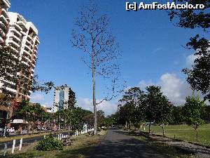 [P24] soseaua margineste parcul La Sabana de cartierul nou de locuinte » foto by grecudoina
 - 
<span class="allrVoted glyphicon glyphicon-heart hidden" id="av604332"></span>
<a class="m-l-10 hidden" id="sv604332" onclick="voting_Foto_DelVot(,604332,1272)" role="button">șterge vot <span class="glyphicon glyphicon-remove"></span></a>
<a id="v9604332" class=" c-red"  onclick="voting_Foto_SetVot(604332)" role="button"><span class="glyphicon glyphicon-heart-empty"></span> <b>LIKE</b> = Votează poza</a> <img class="hidden"  id="f604332W9" src="/imagini/loader.gif" border="0" /><span class="AjErrMes hidden" id="e604332ErM"></span>