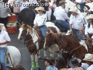 [P04] Horse parade, se desfasoara in luna decembrie a fiecarui an. Parada celor mai frumosi cai din Costa Rica » foto by Nico15
 - 
<span class="allrVoted glyphicon glyphicon-heart hidden" id="av952647"></span>
<a class="m-l-10 hidden" id="sv952647" onclick="voting_Foto_DelVot(,952647,1272)" role="button">șterge vot <span class="glyphicon glyphicon-remove"></span></a>
<a id="v9952647" class=" c-red"  onclick="voting_Foto_SetVot(952647)" role="button"><span class="glyphicon glyphicon-heart-empty"></span> <b>LIKE</b> = Votează poza</a> <img class="hidden"  id="f952647W9" src="/imagini/loader.gif" border="0" /><span class="AjErrMes hidden" id="e952647ErM"></span>