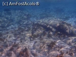 [P06] Snorkeling la Blue lagoon » foto by Dragoș_MD
 - 
<span class="allrVoted glyphicon glyphicon-heart hidden" id="av1468988"></span>
<a class="m-l-10 hidden" id="sv1468988" onclick="voting_Foto_DelVot(,1468988,1423)" role="button">șterge vot <span class="glyphicon glyphicon-remove"></span></a>
<a id="v91468988" class=" c-red"  onclick="voting_Foto_SetVot(1468988)" role="button"><span class="glyphicon glyphicon-heart-empty"></span> <b>LIKE</b> = Votează poza</a> <img class="hidden"  id="f1468988W9" src="/imagini/loader.gif" border="0" /><span class="AjErrMes hidden" id="e1468988ErM"></span>