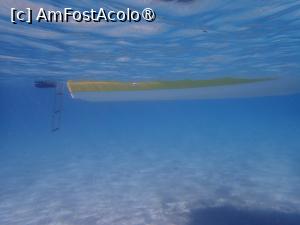 [P07] Snorkeling la Blue lagoon » foto by Dragoș_MD
 - 
<span class="allrVoted glyphicon glyphicon-heart hidden" id="av1468989"></span>
<a class="m-l-10 hidden" id="sv1468989" onclick="voting_Foto_DelVot(,1468989,1423)" role="button">șterge vot <span class="glyphicon glyphicon-remove"></span></a>
<a id="v91468989" class=" c-red"  onclick="voting_Foto_SetVot(1468989)" role="button"><span class="glyphicon glyphicon-heart-empty"></span> <b>LIKE</b> = Votează poza</a> <img class="hidden"  id="f1468989W9" src="/imagini/loader.gif" border="0" /><span class="AjErrMes hidden" id="e1468989ErM"></span>