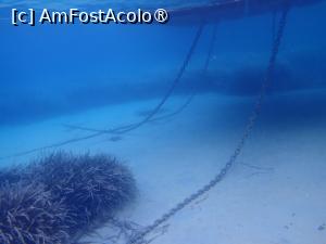 [P29] Rodia beach, snorkeling - ancorele pontonului » foto by Dragoș_MD
 - 
<span class="allrVoted glyphicon glyphicon-heart hidden" id="av1469526"></span>
<a class="m-l-10 hidden" id="sv1469526" onclick="voting_Foto_DelVot(,1469526,1423)" role="button">șterge vot <span class="glyphicon glyphicon-remove"></span></a>
<a id="v91469526" class=" c-red"  onclick="voting_Foto_SetVot(1469526)" role="button"><span class="glyphicon glyphicon-heart-empty"></span> <b>LIKE</b> = Votează poza</a> <img class="hidden"  id="f1469526W9" src="/imagini/loader.gif" border="0" /><span class="AjErrMes hidden" id="e1469526ErM"></span>