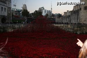 [P25] Poppy la Tower of London. Din nou planul secund strică tot.  » foto by sophie_p
 - 
<span class="allrVoted glyphicon glyphicon-heart hidden" id="av584527"></span>
<a class="m-l-10 hidden" id="sv584527" onclick="voting_Foto_DelVot(,584527,1570)" role="button">șterge vot <span class="glyphicon glyphicon-remove"></span></a>
<a id="v9584527" class=" c-red"  onclick="voting_Foto_SetVot(584527)" role="button"><span class="glyphicon glyphicon-heart-empty"></span> <b>LIKE</b> = Votează poza</a> <img class="hidden"  id="f584527W9" src="/imagini/loader.gif" border="0" /><span class="AjErrMes hidden" id="e584527ErM"></span>