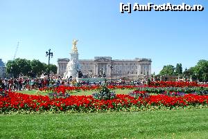 [P24] Buckingham Palace » foto by elena_iasi
 - 
<span class="allrVoted glyphicon glyphicon-heart hidden" id="av364386"></span>
<a class="m-l-10 hidden" id="sv364386" onclick="voting_Foto_DelVot(,364386,1570)" role="button">șterge vot <span class="glyphicon glyphicon-remove"></span></a>
<a id="v9364386" class=" c-red"  onclick="voting_Foto_SetVot(364386)" role="button"><span class="glyphicon glyphicon-heart-empty"></span> <b>LIKE</b> = Votează poza</a> <img class="hidden"  id="f364386W9" src="/imagini/loader.gif" border="0" /><span class="AjErrMes hidden" id="e364386ErM"></span>