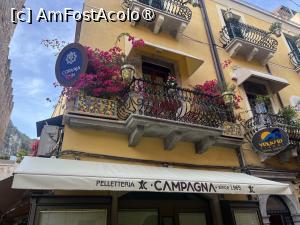 [P27] Cum spuneam, balcoane cu flori » foto by Yersinia Pestis
 - 
<span class="allrVoted glyphicon glyphicon-heart hidden" id="av1516036"></span>
<a class="m-l-10 hidden" id="sv1516036" onclick="voting_Foto_DelVot(,1516036,1579)" role="button">șterge vot <span class="glyphicon glyphicon-remove"></span></a>
<a id="v91516036" class=" c-red"  onclick="voting_Foto_SetVot(1516036)" role="button"><span class="glyphicon glyphicon-heart-empty"></span> <b>LIKE</b> = Votează poza</a> <img class="hidden"  id="f1516036W9" src="/imagini/loader.gif" border="0" /><span class="AjErrMes hidden" id="e1516036ErM"></span>