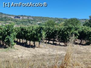 [P23] Livezi de pomi fructiferi cât cuprinde... » foto by crismis
 - 
<span class="allrVoted glyphicon glyphicon-heart hidden" id="av1523336"></span>
<a class="m-l-10 hidden" id="sv1523336" onclick="voting_Foto_DelVot(,1523336,1628)" role="button">șterge vot <span class="glyphicon glyphicon-remove"></span></a>
<a id="v91523336" class=" c-red"  onclick="voting_Foto_SetVot(1523336)" role="button"><span class="glyphicon glyphicon-heart-empty"></span> <b>LIKE</b> = Votează poza</a> <img class="hidden"  id="f1523336W9" src="/imagini/loader.gif" border="0" /><span class="AjErrMes hidden" id="e1523336ErM"></span>