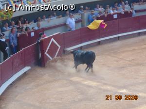 [P31] arta de a lupta » foto by Yolanda
 - 
<span class="allrVoted glyphicon glyphicon-heart hidden" id="av1544038"></span>
<a class="m-l-10 hidden" id="sv1544038" onclick="voting_Foto_DelVot(,1544038,1628)" role="button">șterge vot <span class="glyphicon glyphicon-remove"></span></a>
<a id="v91544038" class=" c-red"  onclick="voting_Foto_SetVot(1544038)" role="button"><span class="glyphicon glyphicon-heart-empty"></span> <b>LIKE</b> = Votează poza</a> <img class="hidden"  id="f1544038W9" src="/imagini/loader.gif" border="0" /><span class="AjErrMes hidden" id="e1544038ErM"></span>