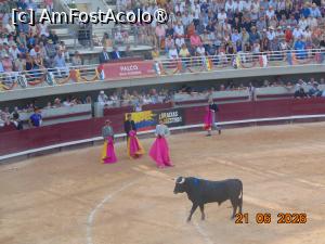 [P34] arta de a lupta » foto by Yolanda
 - 
<span class="allrVoted glyphicon glyphicon-heart hidden" id="av1544041"></span>
<a class="m-l-10 hidden" id="sv1544041" onclick="voting_Foto_DelVot(,1544041,1628)" role="button">șterge vot <span class="glyphicon glyphicon-remove"></span></a>
<a id="v91544041" class=" c-red"  onclick="voting_Foto_SetVot(1544041)" role="button"><span class="glyphicon glyphicon-heart-empty"></span> <b>LIKE</b> = Votează poza</a> <img class="hidden"  id="f1544041W9" src="/imagini/loader.gif" border="0" /><span class="AjErrMes hidden" id="e1544041ErM"></span>