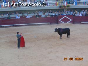 [P46] arta de a lupta » foto by Yolanda
 - 
<span class="allrVoted glyphicon glyphicon-heart hidden" id="av1544053"></span>
<a class="m-l-10 hidden" id="sv1544053" onclick="voting_Foto_DelVot(,1544053,1628)" role="button">șterge vot <span class="glyphicon glyphicon-remove"></span></a>
<a id="v91544053" class=" c-red"  onclick="voting_Foto_SetVot(1544053)" role="button"><span class="glyphicon glyphicon-heart-empty"></span> <b>LIKE</b> = Votează poza</a> <img class="hidden"  id="f1544053W9" src="/imagini/loader.gif" border="0" /><span class="AjErrMes hidden" id="e1544053ErM"></span>
