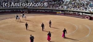 [P09] prezentarea în arena » foto by Yolanda
 - 
<span class="allrVoted glyphicon glyphicon-heart hidden" id="av1544016"></span>
<a class="m-l-10 hidden" id="sv1544016" onclick="voting_Foto_DelVot(,1544016,1628)" role="button">șterge vot <span class="glyphicon glyphicon-remove"></span></a>
<a id="v91544016" class=" c-red"  onclick="voting_Foto_SetVot(1544016)" role="button"><span class="glyphicon glyphicon-heart-empty"></span> <b>LIKE</b> = Votează poza</a> <img class="hidden"  id="f1544016W9" src="/imagini/loader.gif" border="0" /><span class="AjErrMes hidden" id="e1544016ErM"></span>