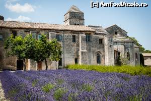 [P29] Abbaye de Senanque » foto by Carmen Ion
 - 
<span class="allrVoted glyphicon glyphicon-heart hidden" id="av582273"></span>
<a class="m-l-10 hidden" id="sv582273" onclick="voting_Foto_DelVot(,582273,1628)" role="button">șterge vot <span class="glyphicon glyphicon-remove"></span></a>
<a id="v9582273" class=" c-red"  onclick="voting_Foto_SetVot(582273)" role="button"><span class="glyphicon glyphicon-heart-empty"></span> <b>LIKE</b> = Votează poza</a> <img class="hidden"  id="f582273W9" src="/imagini/loader.gif" border="0" /><span class="AjErrMes hidden" id="e582273ErM"></span>