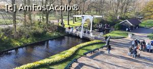 [P31] Keukenhof, pe alei, » foto by mprofeanu
 - 
<span class="allrVoted glyphicon glyphicon-heart hidden" id="av1479590"></span>
<a class="m-l-10 hidden" id="sv1479590" onclick="voting_Foto_DelVot(,1479590,1639)" role="button">șterge vot <span class="glyphicon glyphicon-remove"></span></a>
<a id="v91479590" class=" c-red"  onclick="voting_Foto_SetVot(1479590)" role="button"><span class="glyphicon glyphicon-heart-empty"></span> <b>LIKE</b> = Votează poza</a> <img class="hidden"  id="f1479590W9" src="/imagini/loader.gif" border="0" /><span class="AjErrMes hidden" id="e1479590ErM"></span>